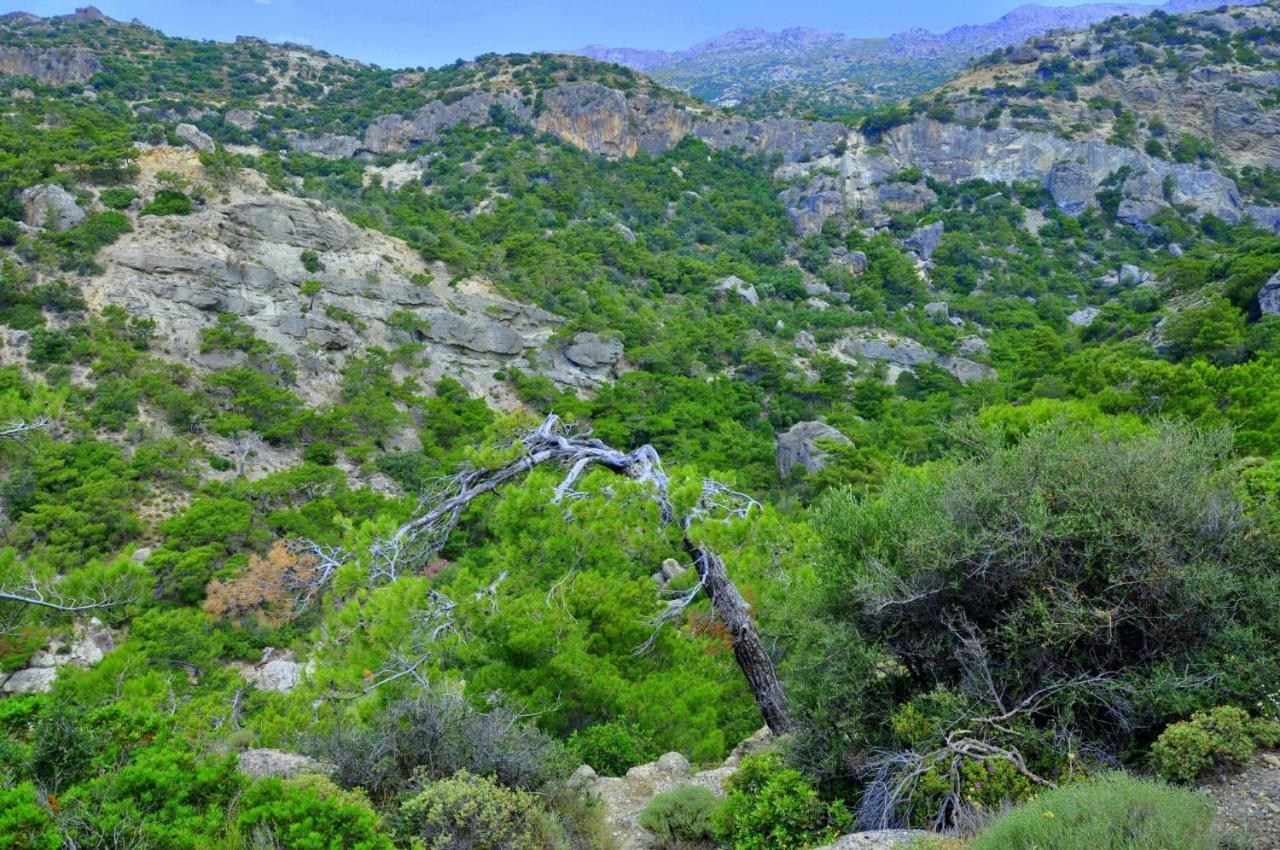 Dream Residence Agios Ioannis  Exterior photo